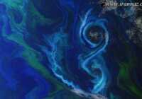 image شکوفه فیتوپلانکتون شکل هشت جنوب اقیانوس