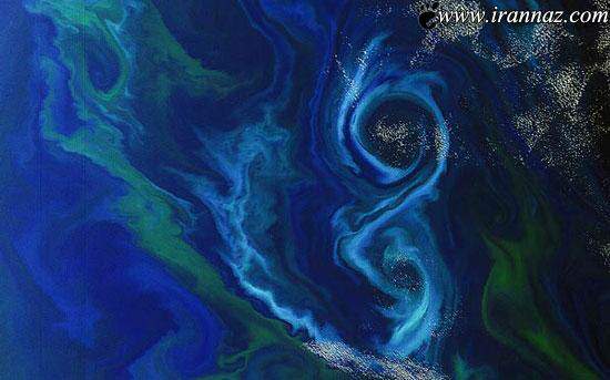 image شکوفه فیتوپلانکتون شکل هشت جنوب اقیانوس