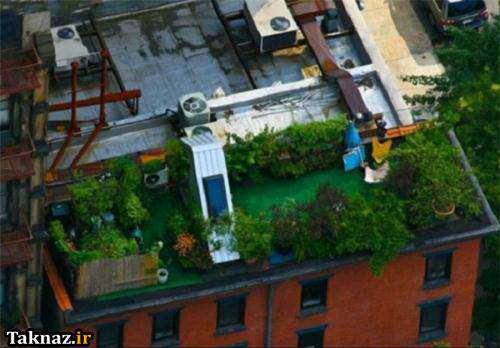 image تصاویر باغ و باغچه های روی پشت بام خانه های کشورهای مختلف