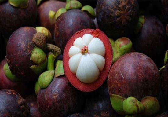 image عکس های جالب از میوه های عجیب و شگفت انگیز در دنیا