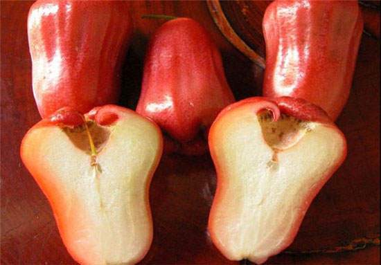 image عکس های جالب از میوه های عجیب و شگفت انگیز در دنیا