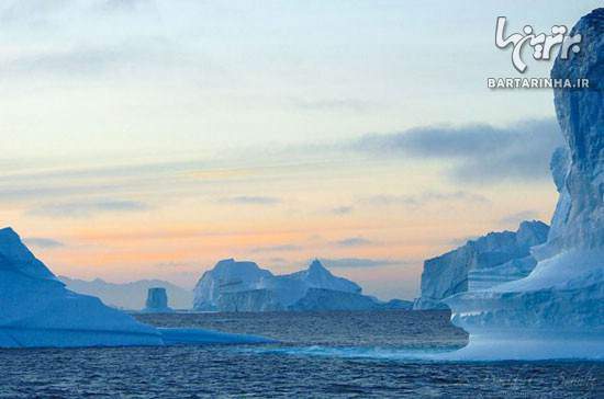 image عکس های زیبا از پنگوئن ها قطب شمال و کوه های یخی