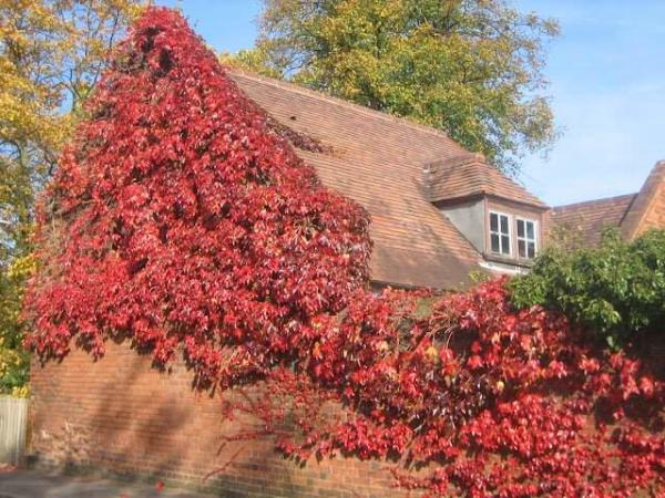 image عکس هایی زیبا از یک خانه پاییزی
