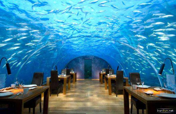 image تصاویری از یک هتل شیک و مجلل در زیر اقیانوس هند