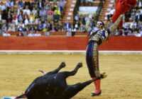 image تصویری زیبا از گاو بازی در اسپانیا
