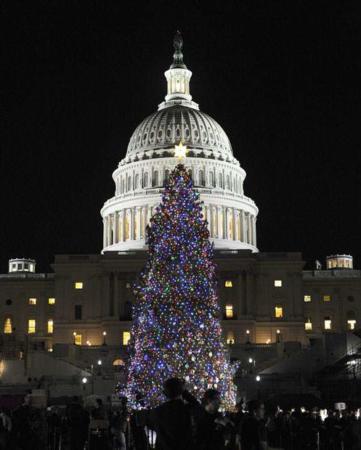 image نصب درخت کریسمس در مقابل کنگره آمریکا