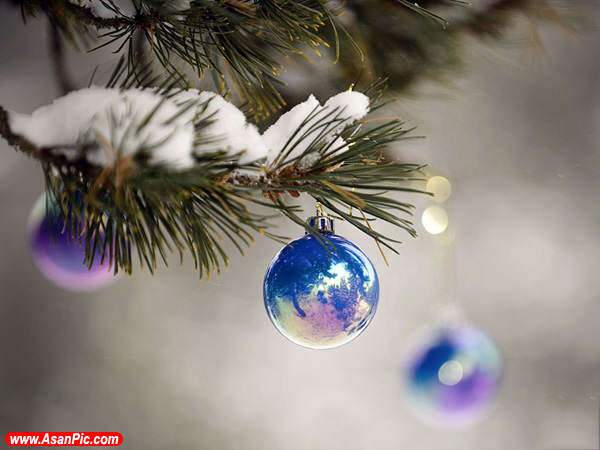 image عکس های زیبا و جدید از تزیین درخت های کریسمس