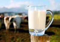 image آیا نوشیدن شیر در فصل پائیز و زمستان مفید تر است