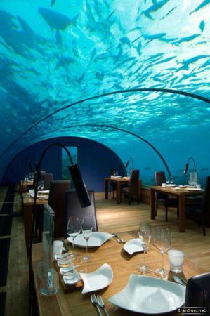 image تصاویری از یک هتل شیک و مجلل در زیر اقیانوس هند