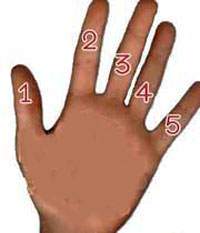 image تست شناخت ویژگی های شخصی با استفاده از شکل انگشتان دست