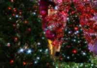 image آموزش عکس به عکس تزیین درخت کریمس برای سال نو میلادی