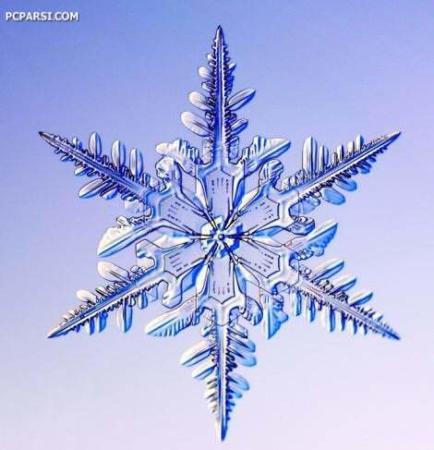 image تصاویر باورنکردنی دانه برف با بزرگنمای ۱۰۰۰ برابر