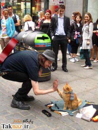 image گزارش تصویری از نوازنده خیابانی همراه با گربه هنرمندش