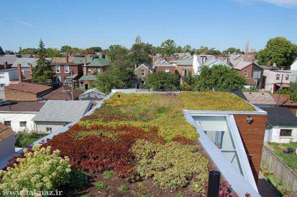 image تصاویر دیدنی پارک ها و باغ های سبز و زیبا روی پشت بام