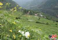 image عکس های دیدنی از روستای زیبای پلام