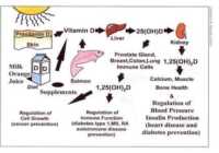 image درمان خاوب آلودگی روزانه با مصرف ویتامین D
