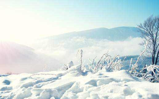 image عکس های با کیفیت از منظره های دلگیر زمستانی