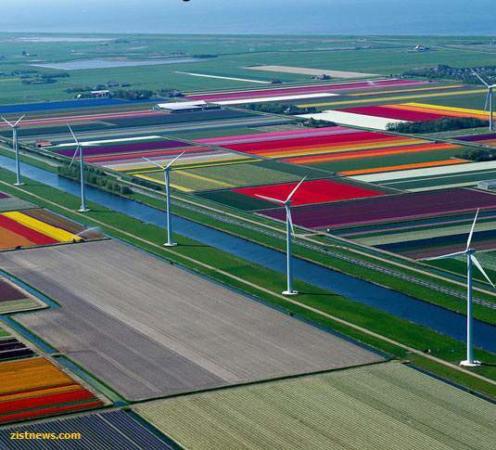 image گزارش تصویری هوایی از باغ های زیبای گل هلند