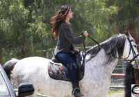 image سلنا گومز و ماجرای اسب سواری در مزرعه