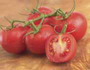 image گوجه فرنگی قرمز معجزه سلامتی بدن