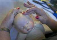 image تعمیر عروسک در بیمارستان عروسک ها استرالیا