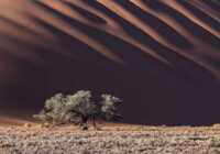image صحرای کشور آفریقایی نامیبیا