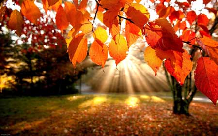 image عکس های بسیار زیبا و کمیاب از فصل پاییز