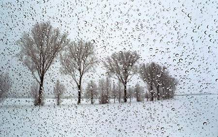 image عکس زیبای درختان برفی پشت شیشه باران زده