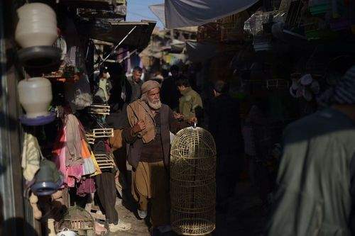 image نمایی از بازار پرنده فروشان کابل افغانستان