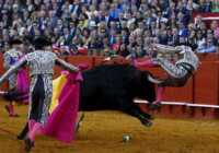 image عکس زیبای گاو بازی در سویل اسپانیا