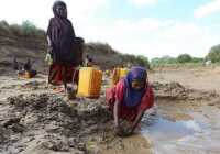 image تلاش برای جمع آوری آب آشامیدنی سومالی