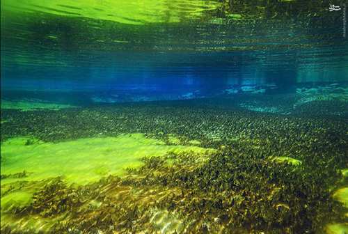 image عکس های دیدنی از دریاچه زیبای آبی در نیوزلند