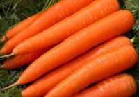 image هویج و آب هویج چه خواصی برای سلامتی دارند
