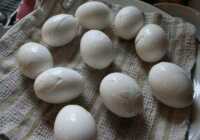 image چطور تخم مرغ پخته رنگارنگ برای بچه ها درست کنیم