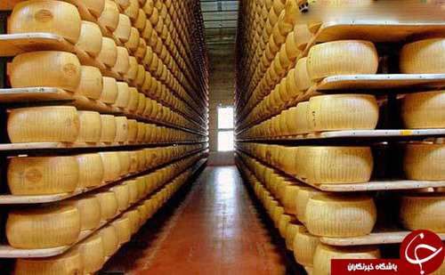 image گزارشی جالب درباره بانک پنیرهای قدیمی در ایتالیا