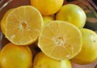 image به هفت علت مفید یک قاچ لیمو ترس در اتاق خواب خود بگذارید