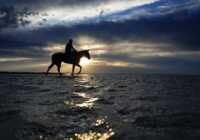 image عکس زیبای یک اسب سوار در ساحل ملبورن استرالیا
