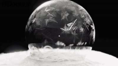 image عکس فوق العاده زیبا از حباب های یخ زده