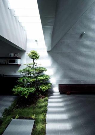 image ایده ساخت باغچه با گیاهان سبز در سالن پذیرایی خانه