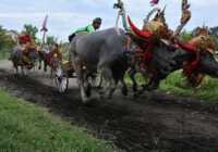 image عکس دیدنی مسابقه سنتی گاورانی بالی اندونزی