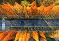 image عکس هوایی زیبایی از منظره پائیزی جاده ای در چین