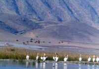 image گزارش تصویری دیدنی از ده دریاچه زیبای ایران زمین