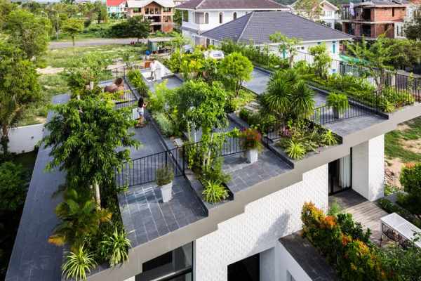 image عکس های دیدنی از طراحی باغی سر سبز روی پشت بام
