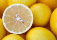 image لیمو شیرین چه خاصیتی برای سلامتی بدن دارد