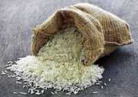 image آموزش تشخیص برنج اصل از برنج تقلبی چینی