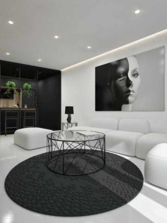 image دکور و چیدمان خانه مدرن با رنگ های سیاه و سفید