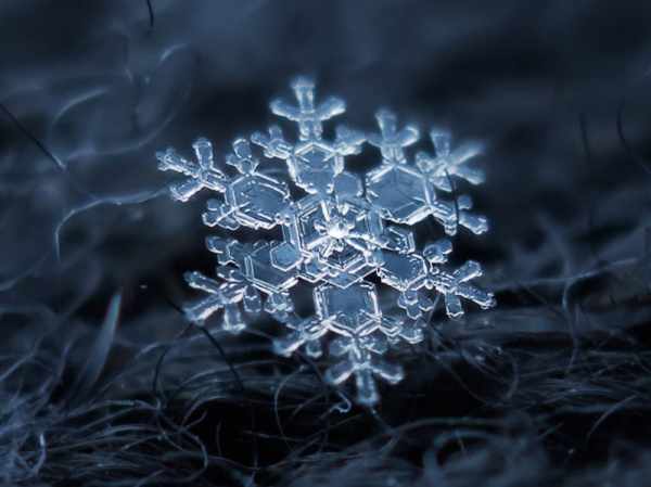 image عکس های فوق العاده دیدنی از دانه های برف