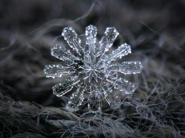 image عکس های فوق العاده دیدنی از دانه های برف