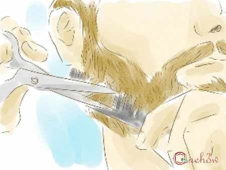 image آموزش تصویری گذاشتن ریش و مرتب کردن