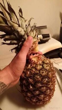 image آموزش تصویری روشی ساده برای خرد کردن و پوست گرفتن آناناس